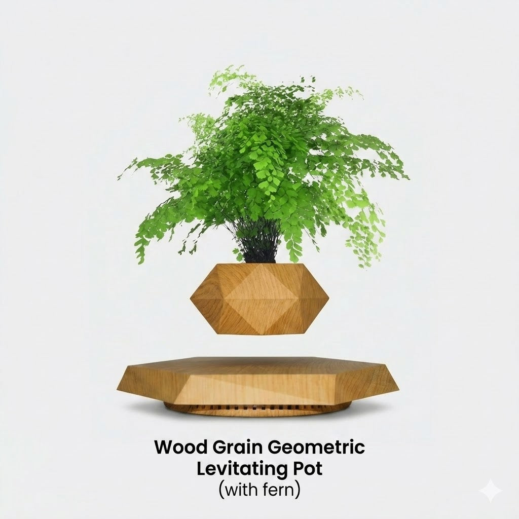 Levitating - Bonsai Planter Pot ©